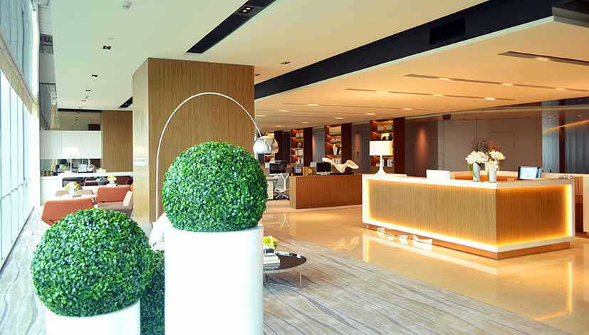 展示图片