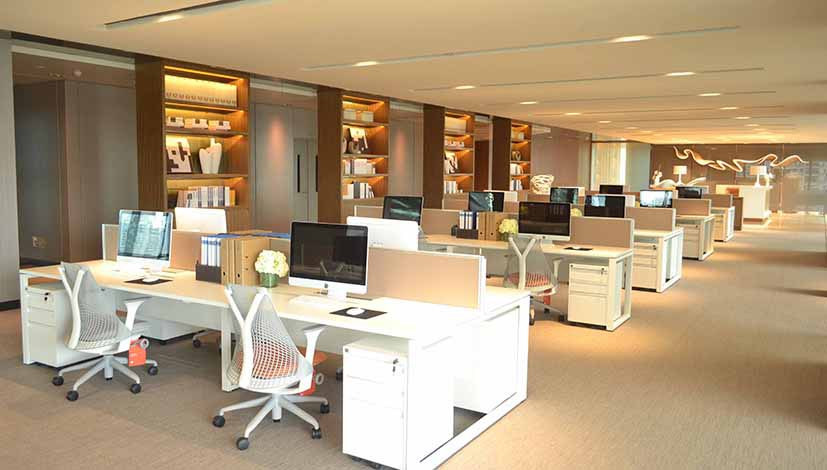 展示图片