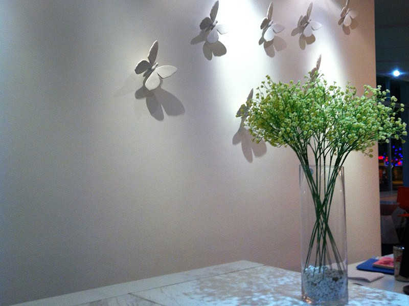 展示图片