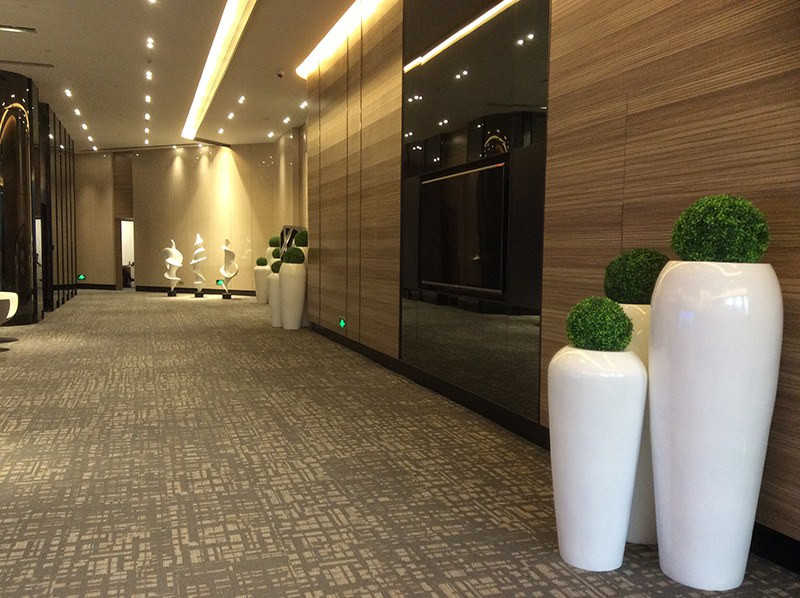 展示图片