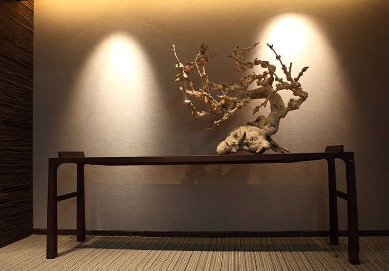 展示图片